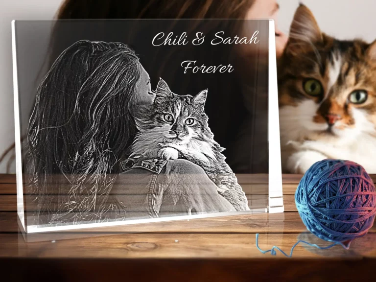 FF_QF_Katze_4zu3_2000px