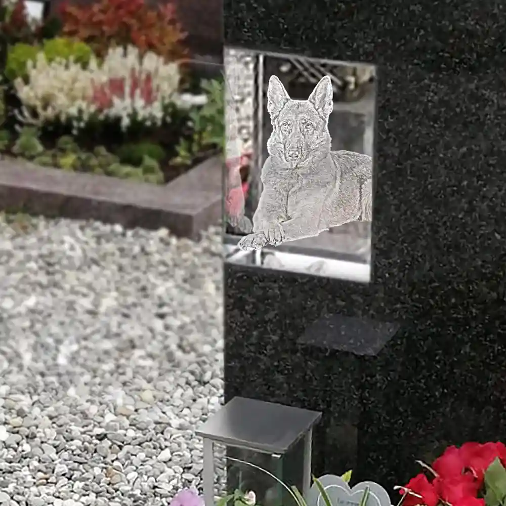 Grabstein Marmor mit Glas Hund Tiergrabstein