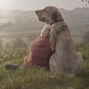 Hund_Anlehnen_Mädchen_Halt_1zu1_1500px_25p