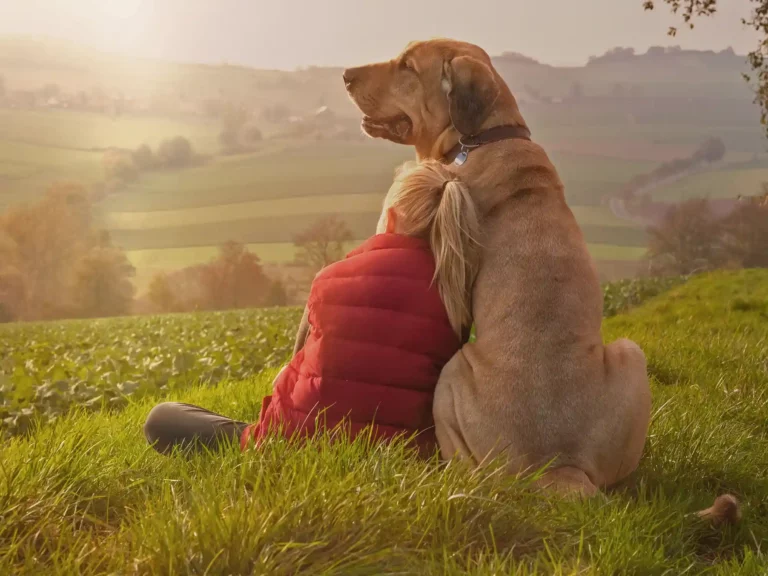 Hund_Anlehnen_Mädchen_Halt_4zu3_2000px_25p