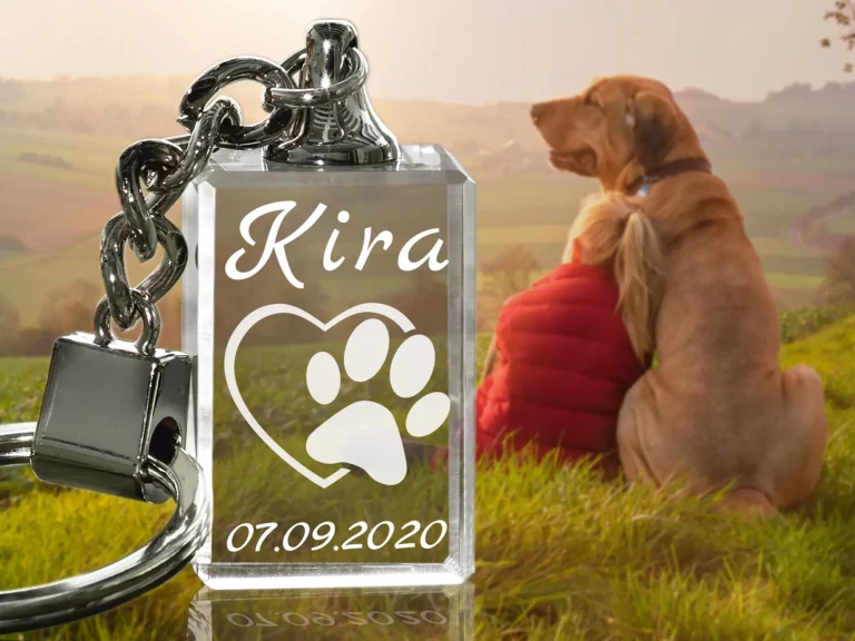 KCU_HF_Tierandenken_Pfote_Maedchen_Hund_4zu3_2000px