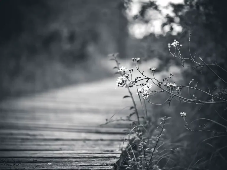 Letzter_Weg_Stimmungsbild_4zu3_2000px_25p